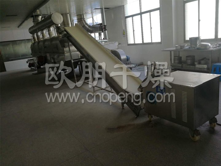 橡胶促进剂干燥机工程