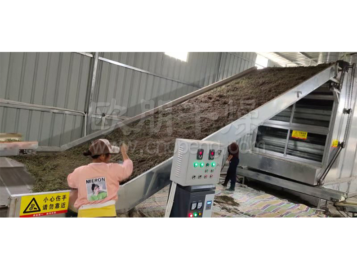 迷迭香干燥机